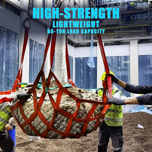 <strong>Cargo Webbing Net</strong>